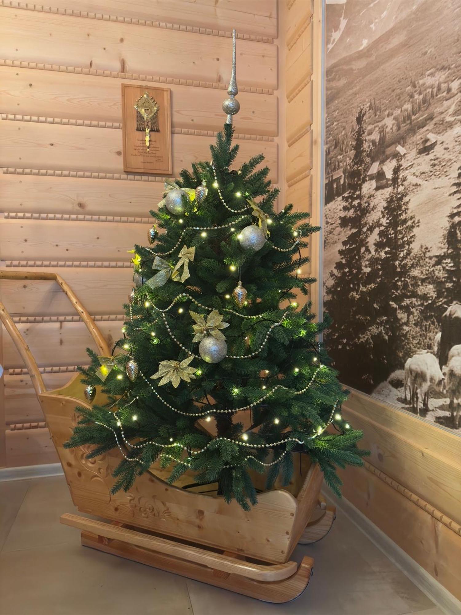 U Pawlikowskich Homestay Zakopane